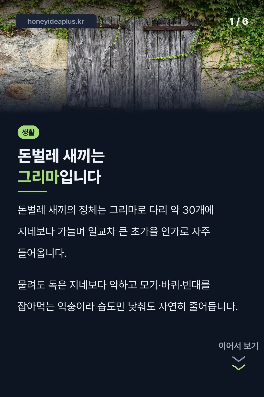 돈벌레 새끼는 그리마입니다