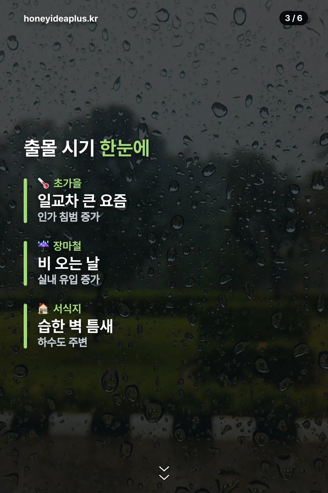출몰 시기 안내