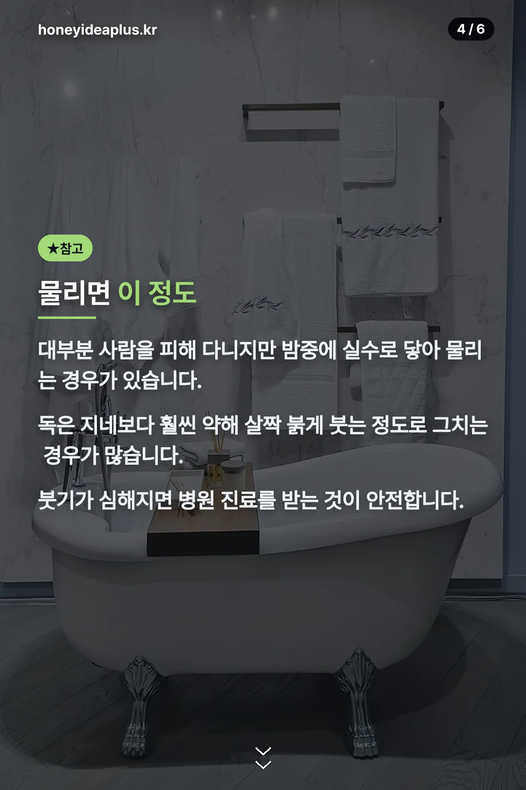 물렸을 때 대처