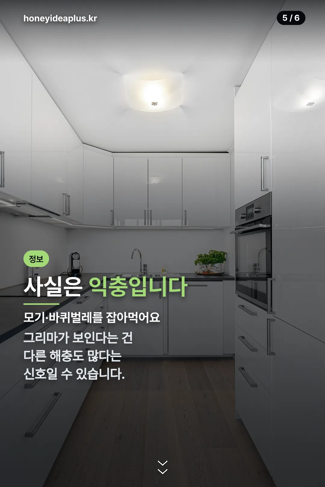 익충이라는 사실