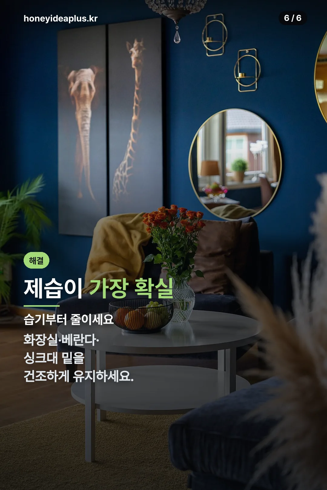제습으로 예방하기