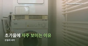 돈벌레 새끼 정체와 초가을에 자주 보이는 이유