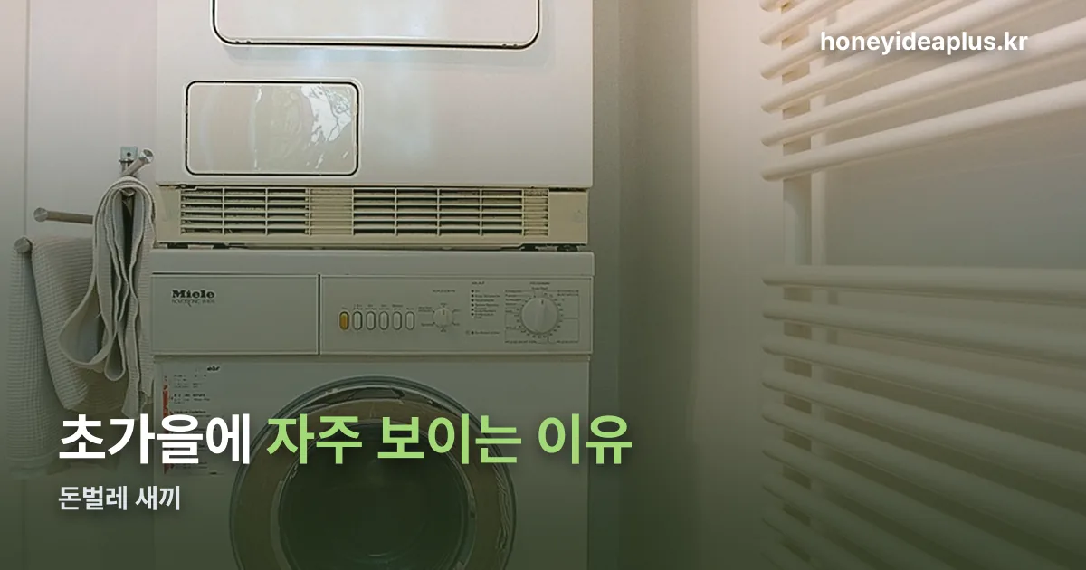 돈벌레 새끼 정리 썸네일