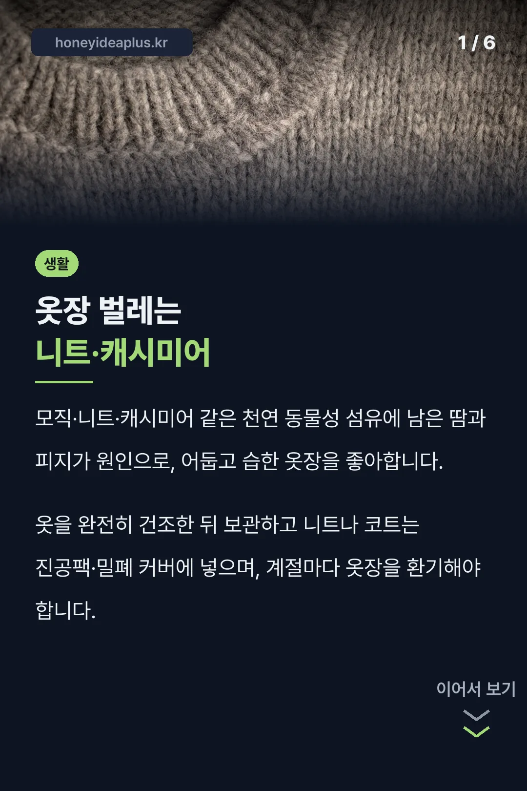 옷장 벌레는 니트·캐시미어