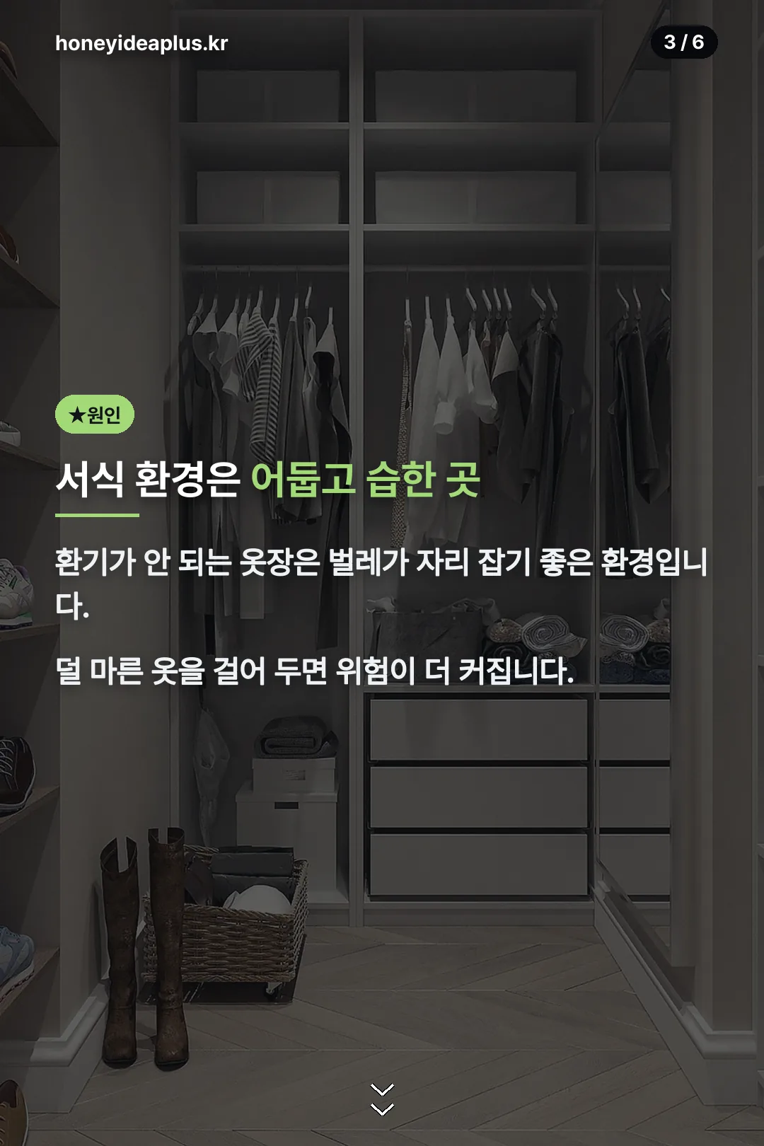 서식 환경 원인