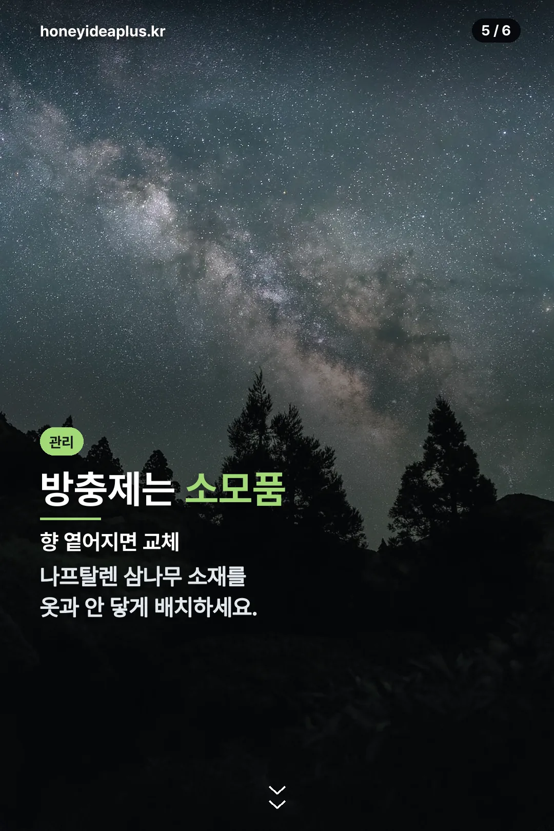 방충제 활용법