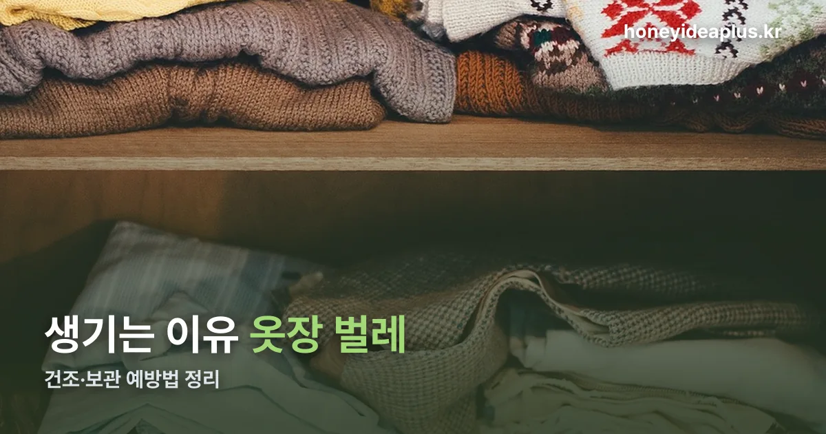 옷장 벌레 정리 썸네일