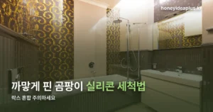 실리콘 세척 방법 — 욕실 곰팡이 제거부터 재발 방지까지