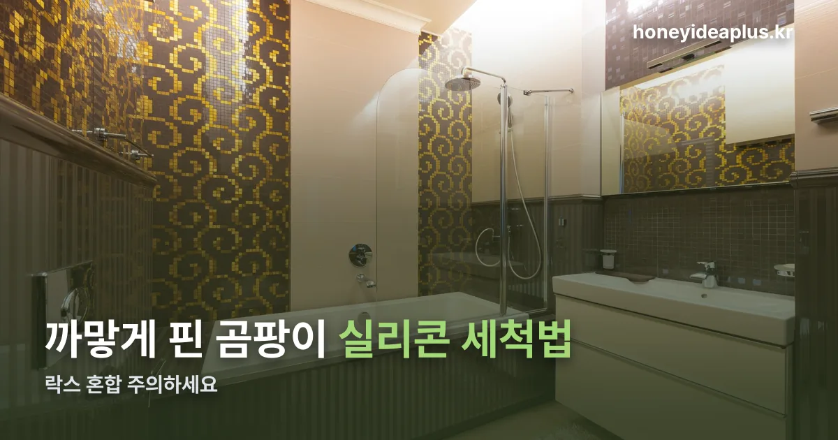 실리콘 세척 정리 썸네일