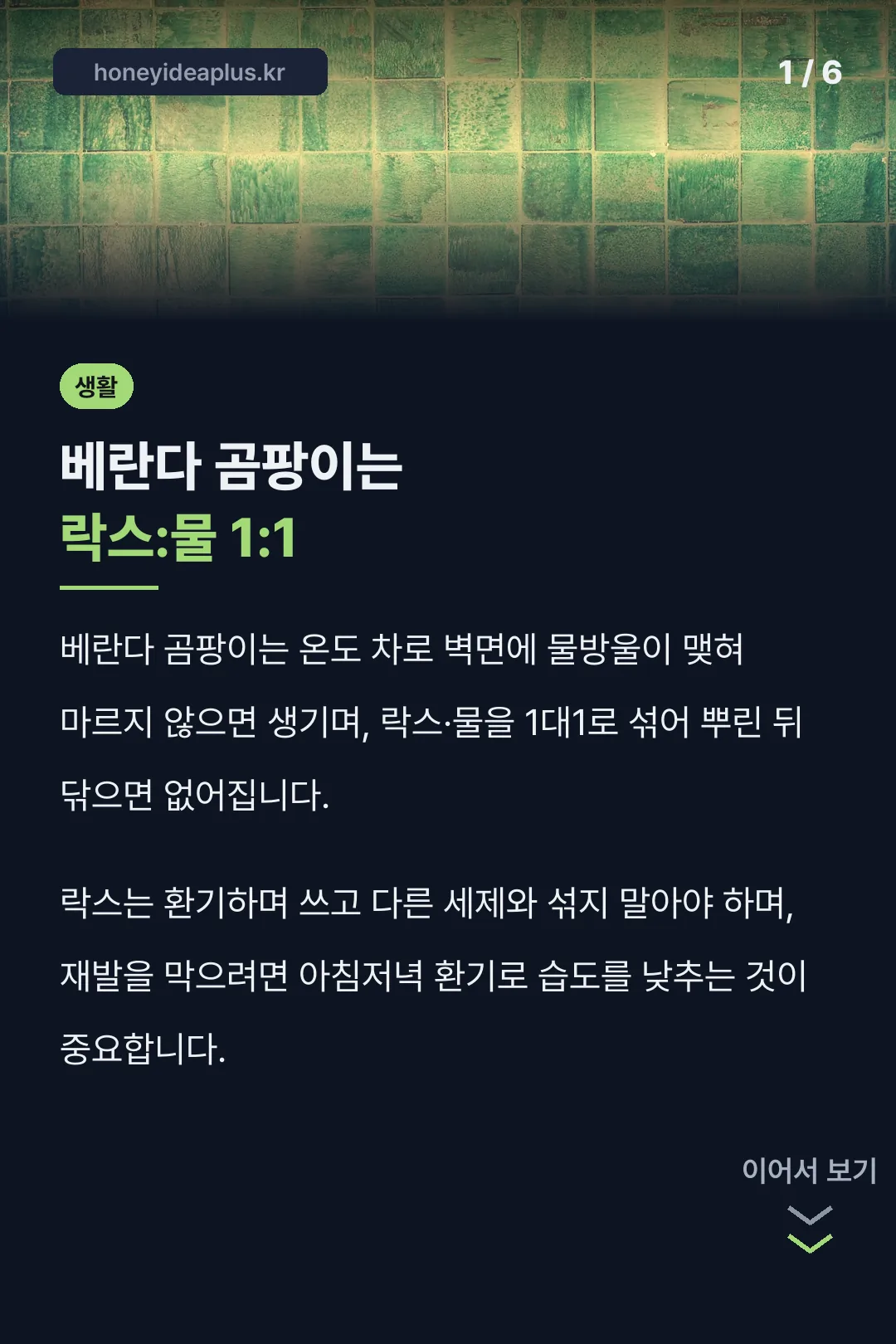 베란다 곰팡이는 락스:물 1:1