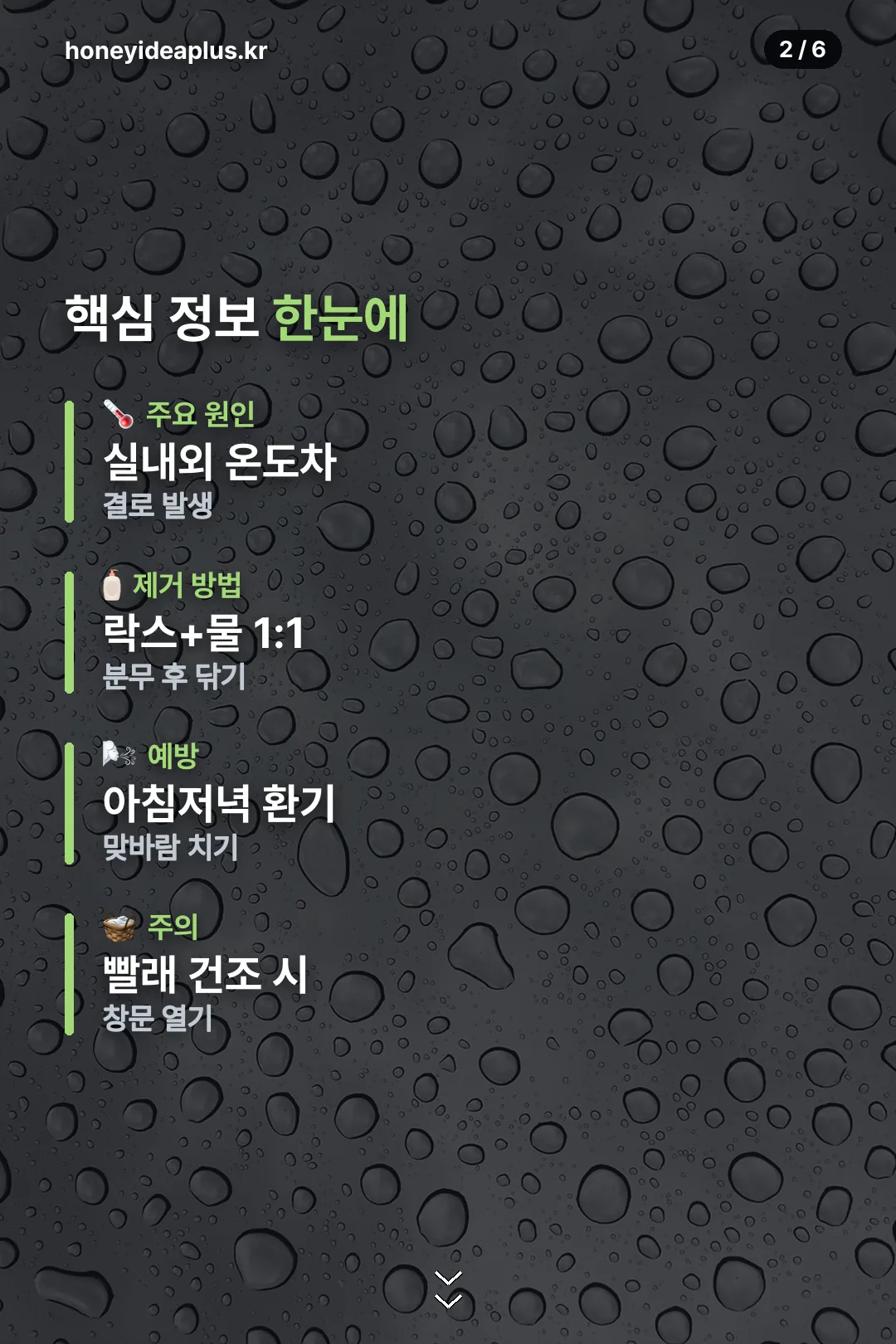 핵심 정보 요약