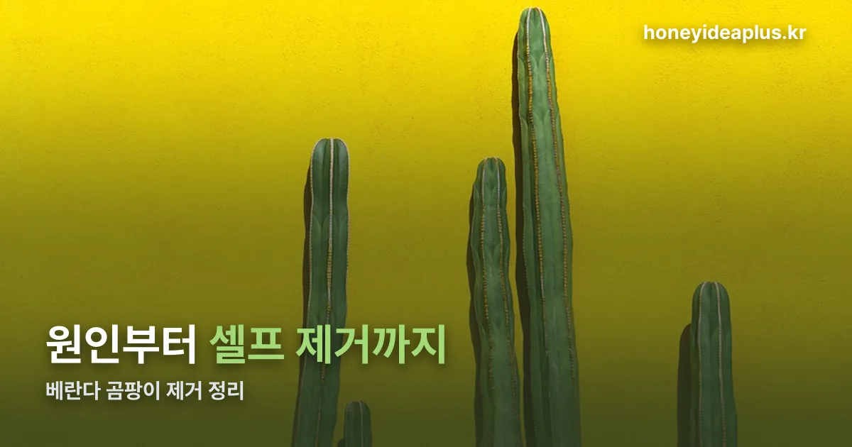 베란다 곰팡이 제거 정리 썸네일