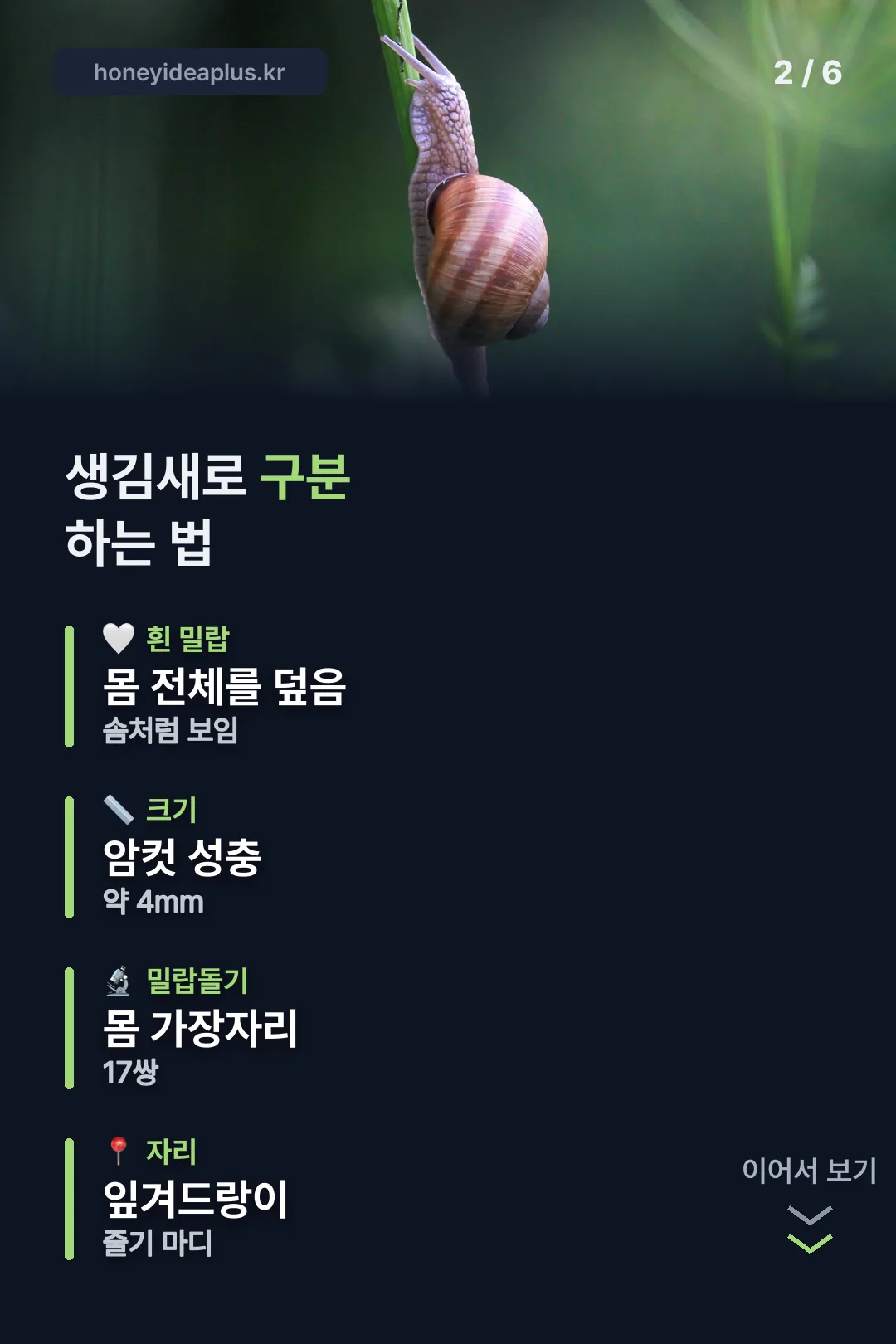 생김새로 구분하는 법