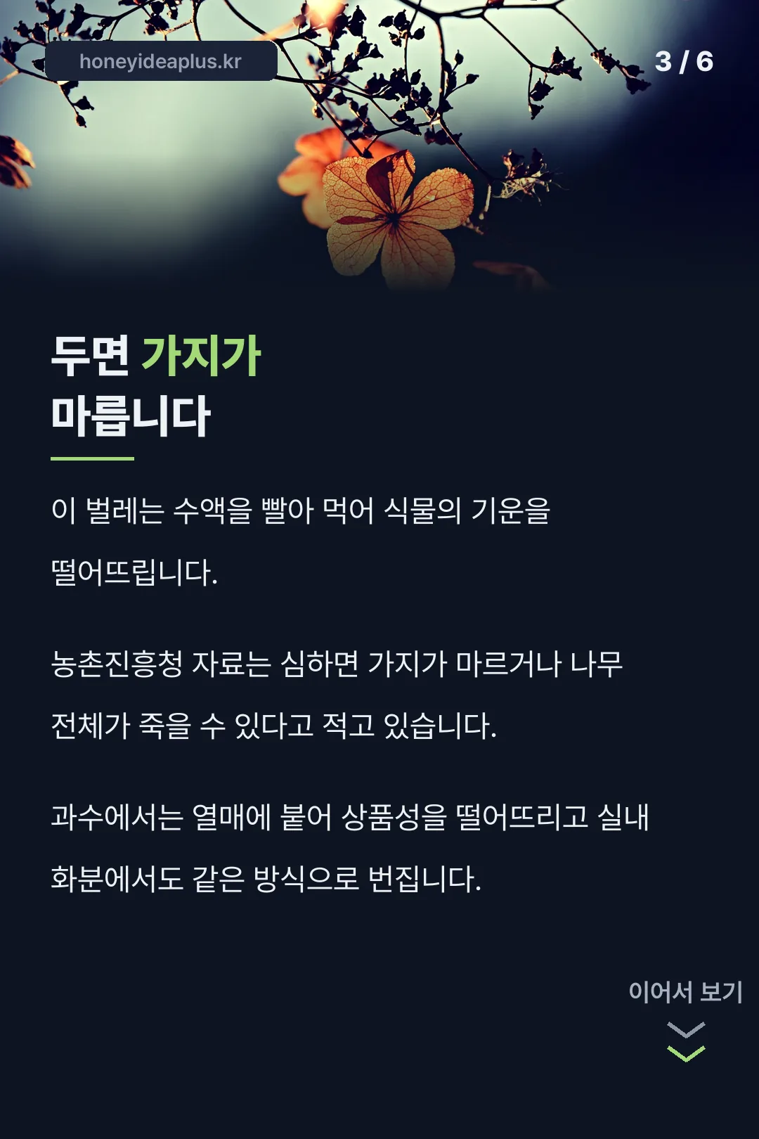 방치했을 때 피해