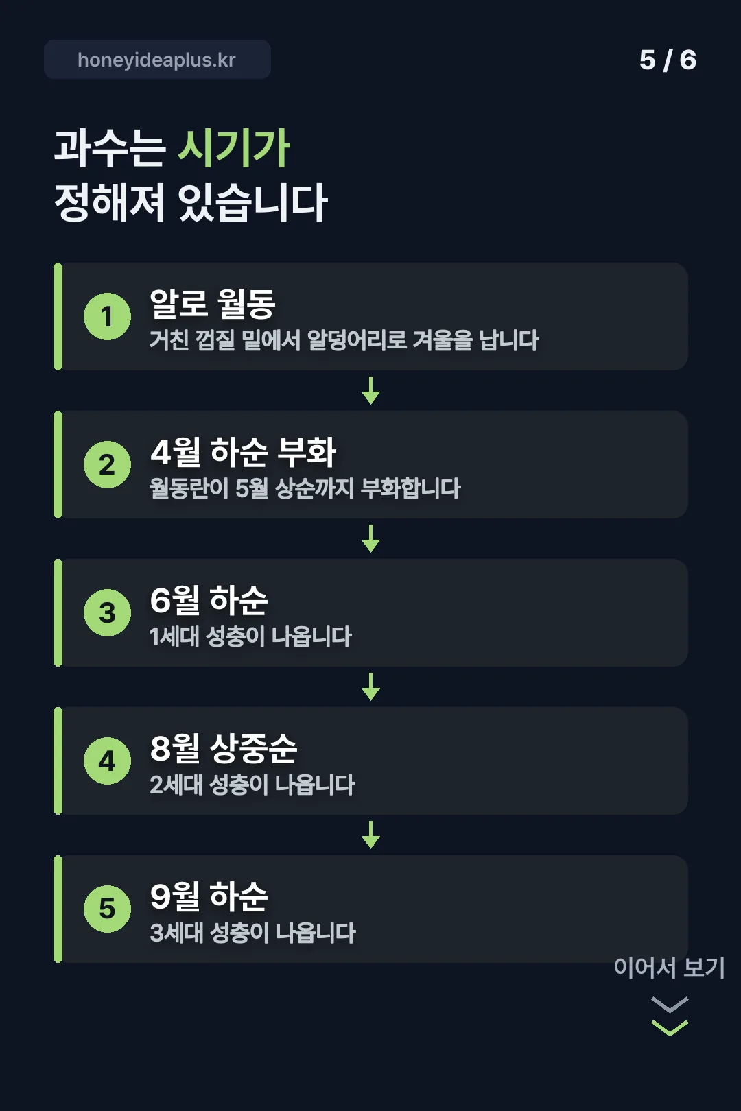 발생 시기 흐름