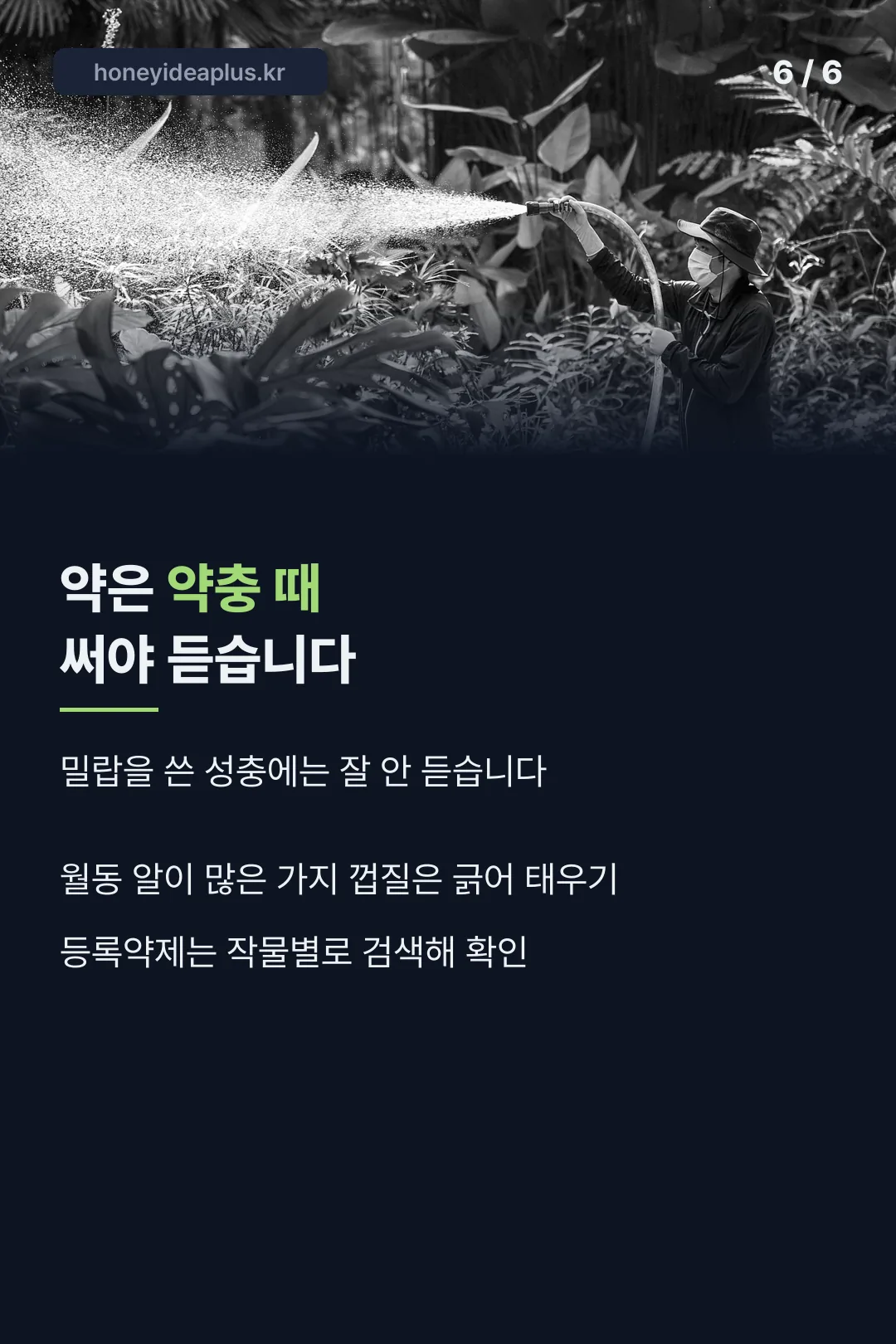 약제 사용 시기