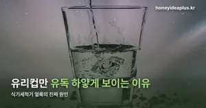 식기세척기 얼룩 — 세제 문제가 아니라 경수와 분사암이 원인입니다