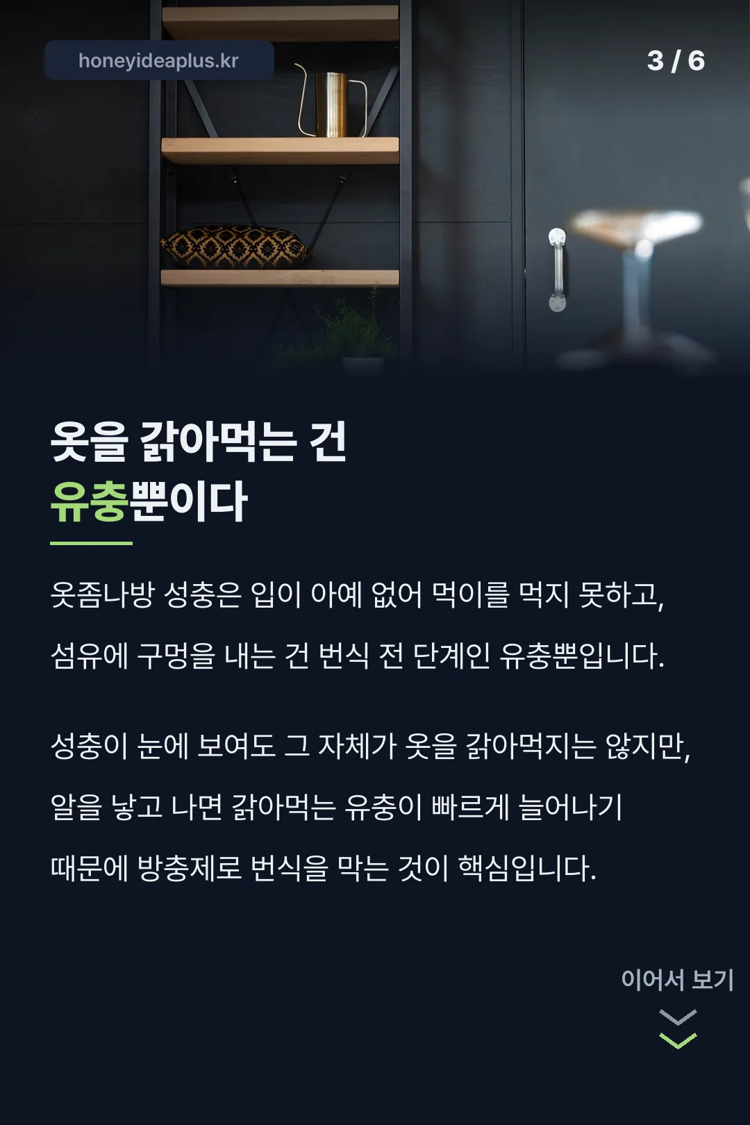 옷을 갉아먹는 건 유충뿐이라는 사실
