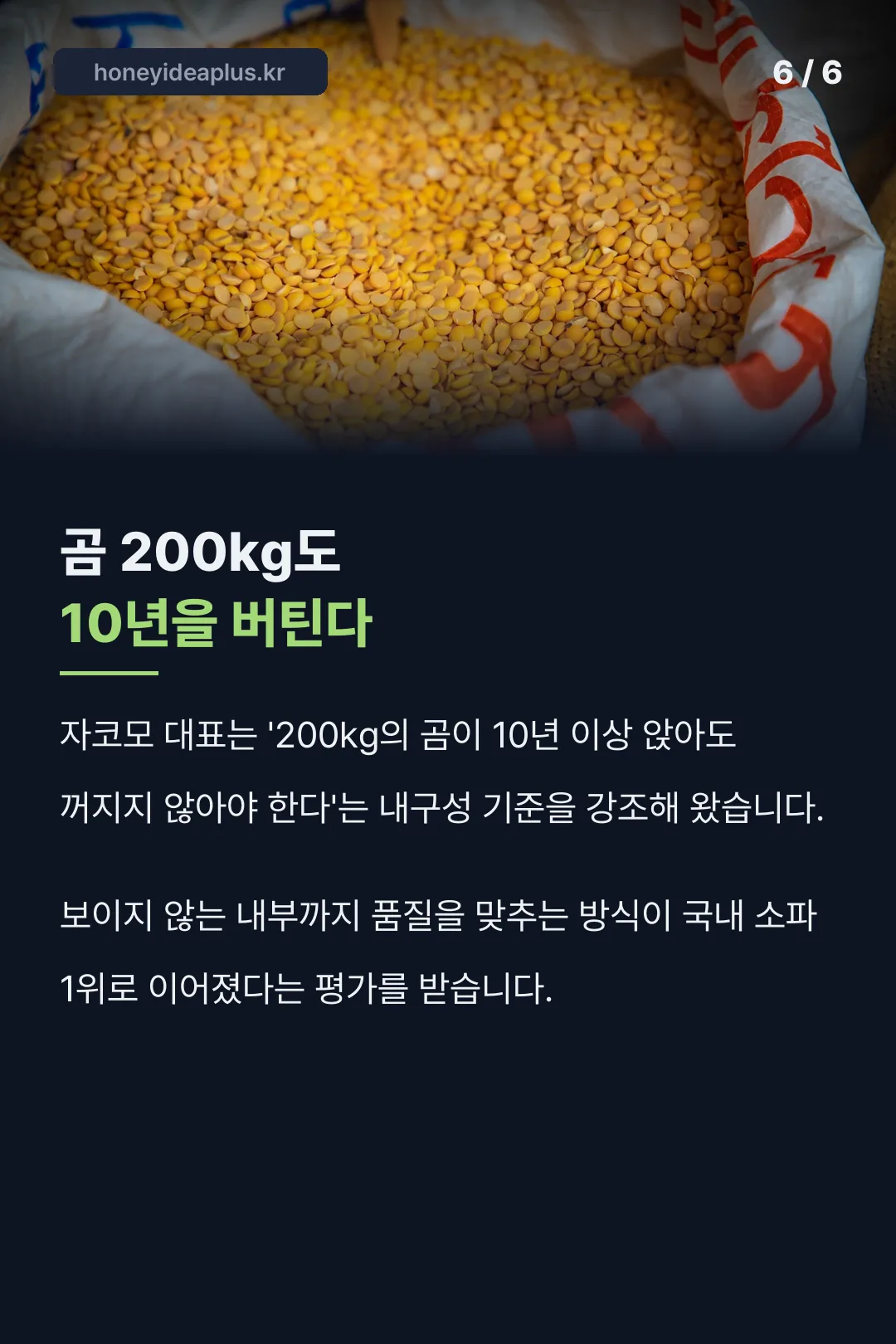 200kg 곰 내구성 기준