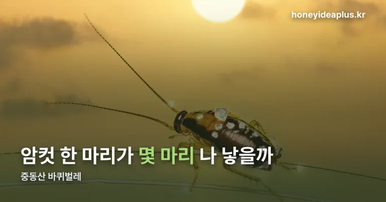 중동산 바퀴벌레 정리 썸네일