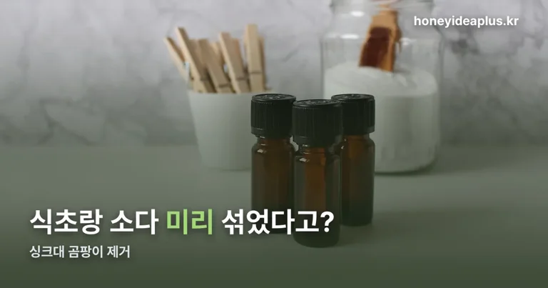 싱크대 곰팡이 제거 정리 썸네일